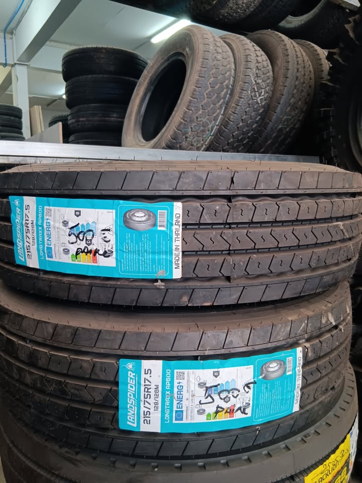 pneus LANDSPIDER en 215/75R17.5 La paire : 500€