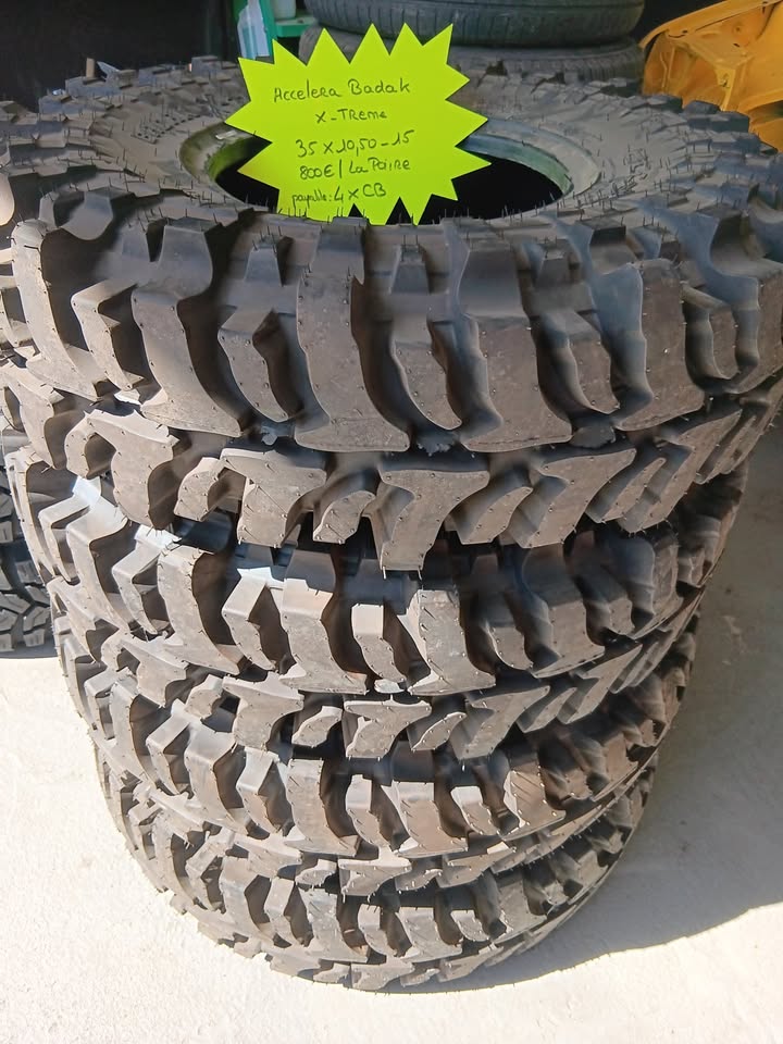 La paire : 800€ Les 4 : 1500€